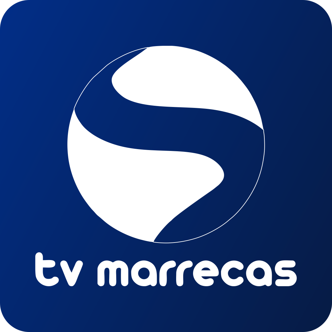 Virtual TV